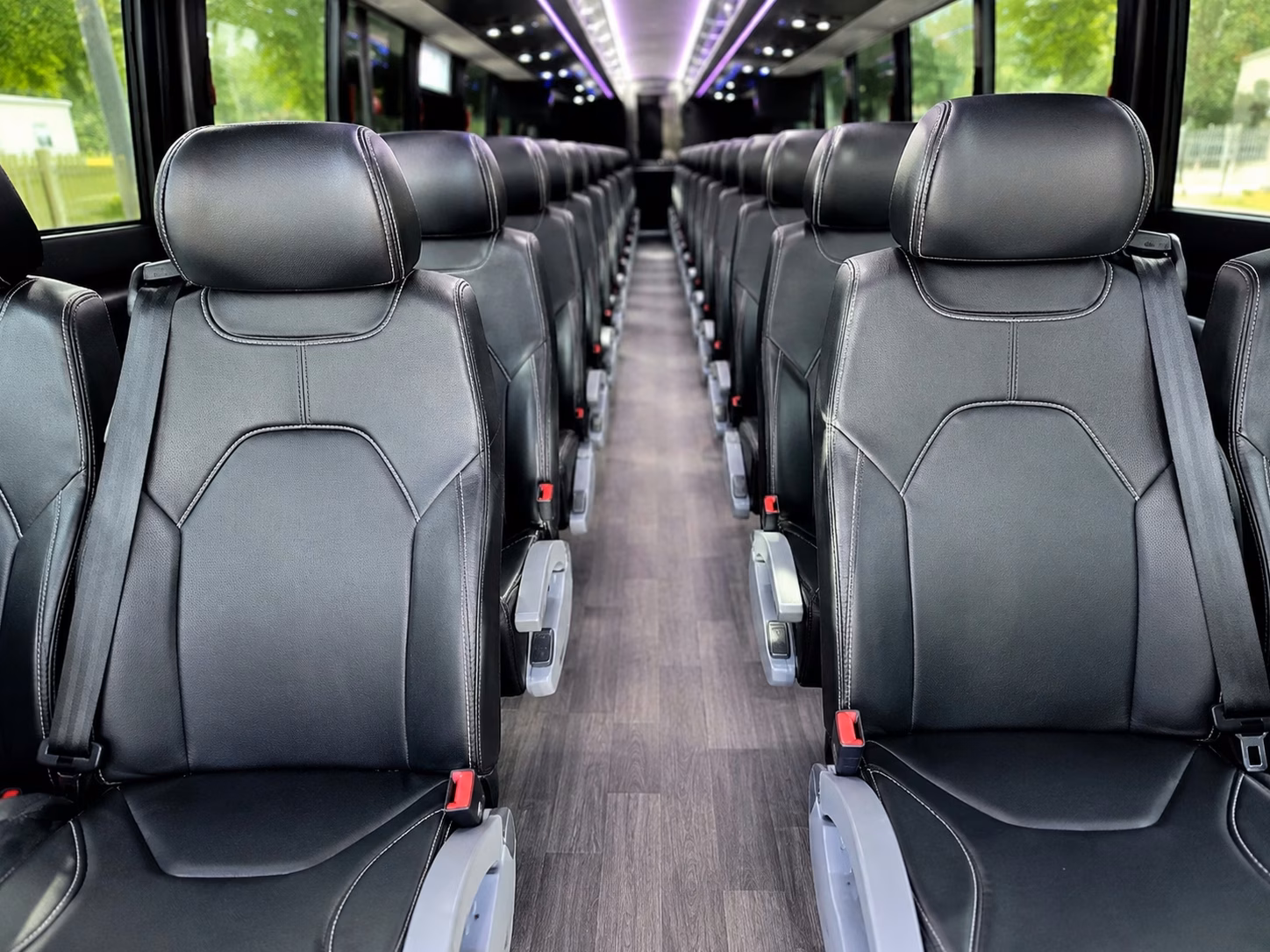 livonia long distance transportation