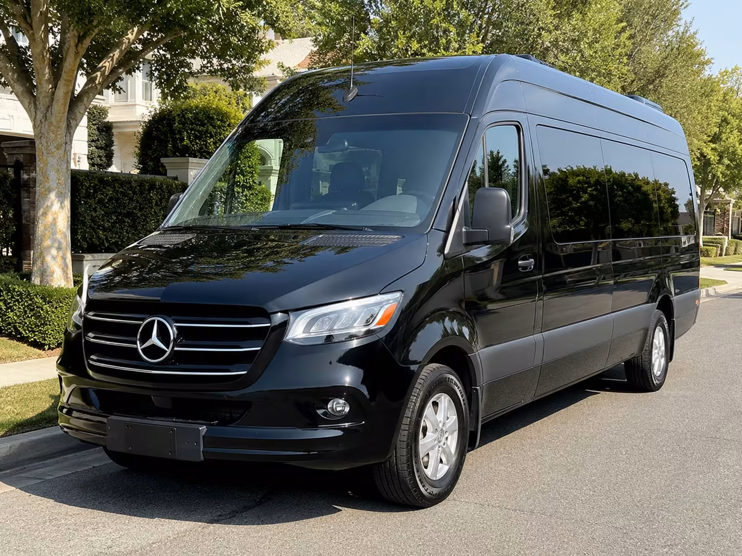 sprinter van with driver